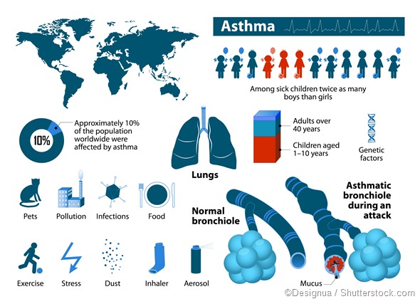 Asthma infographic